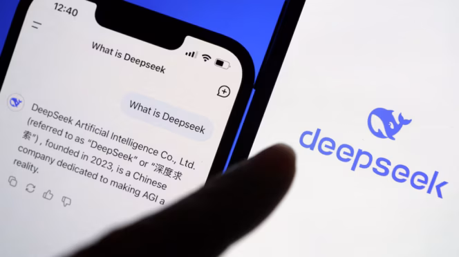 Usuario busca en DeepSeek