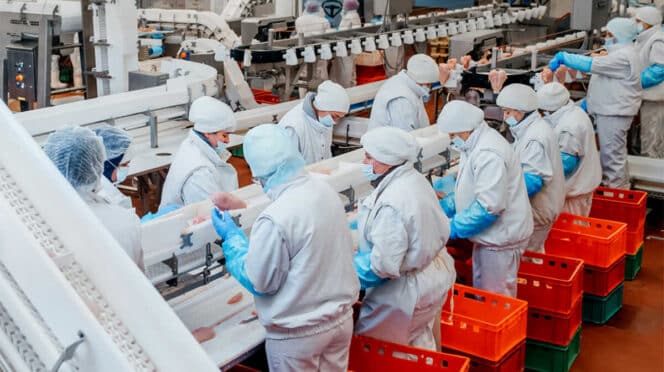 Operarios trabajando en una fábrica
