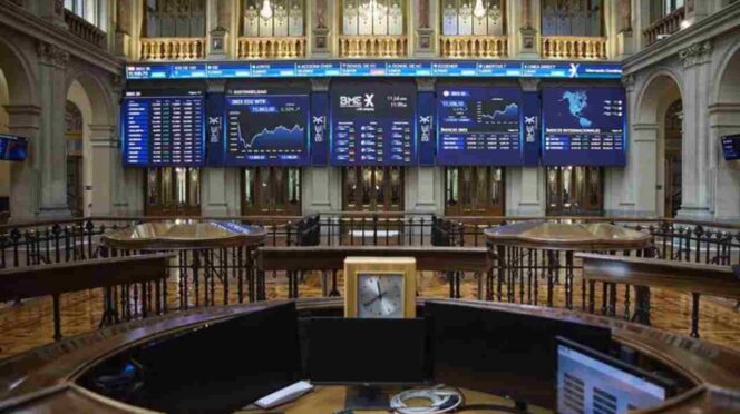 Imagen de la bolsa