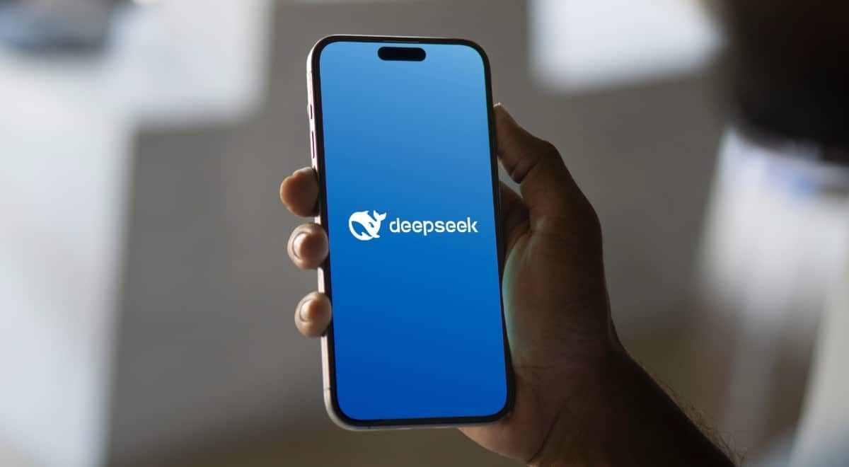 Usuario utilizando Deepseek