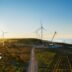Parque de energía eólica