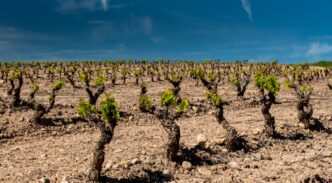 Vides en La Rioja