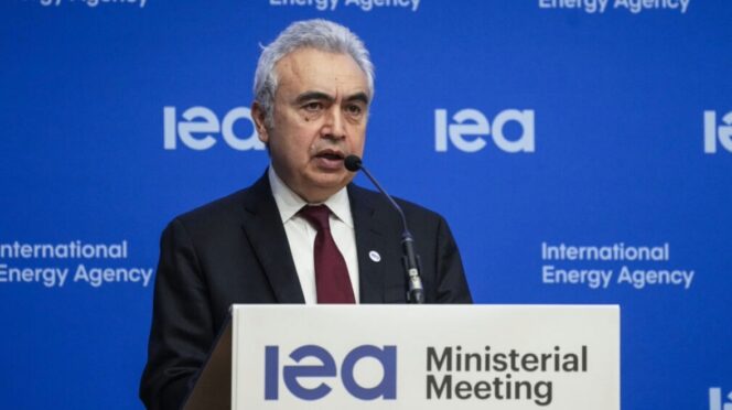 Faith Birol, director ejecutivo de la AIE