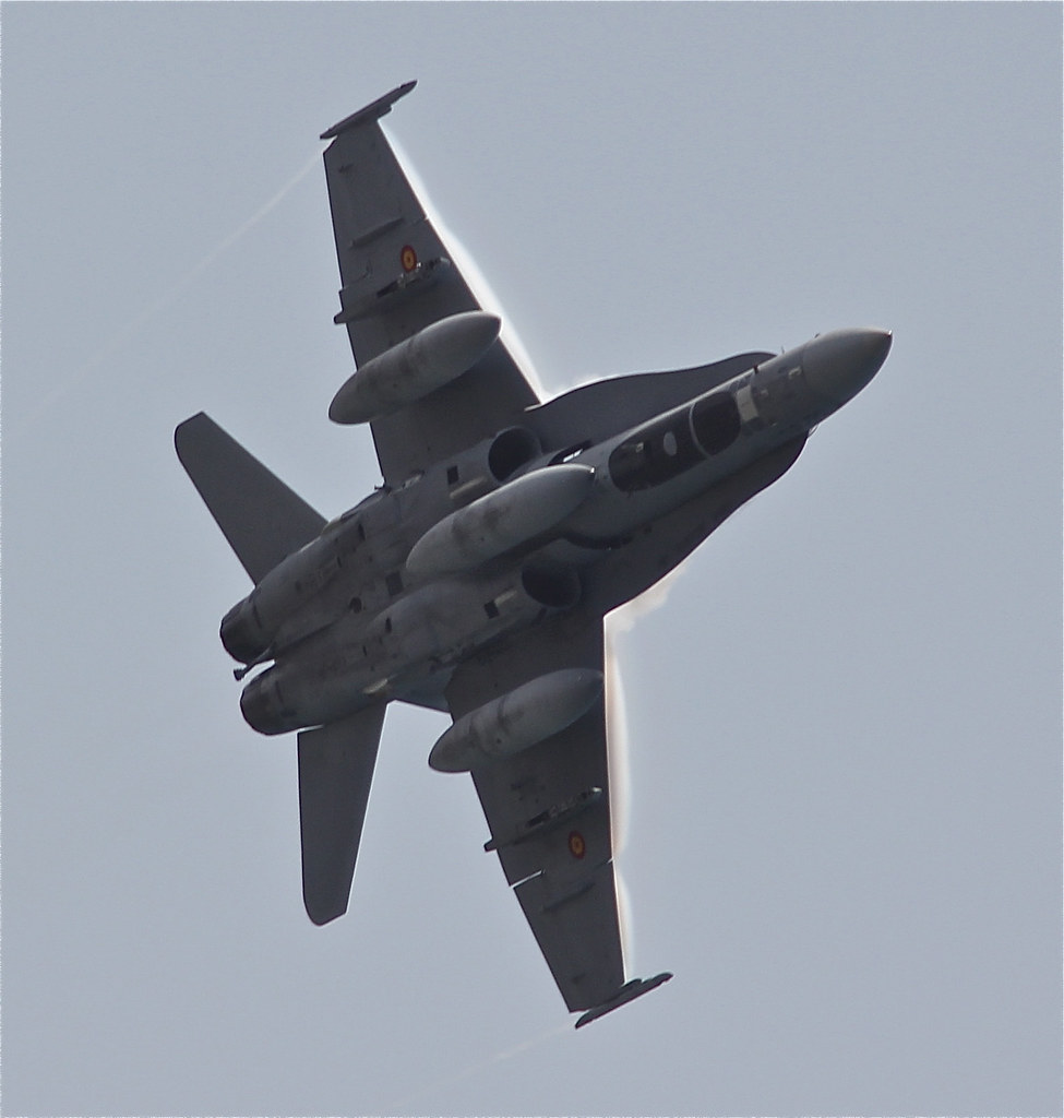 Avión tipo caza