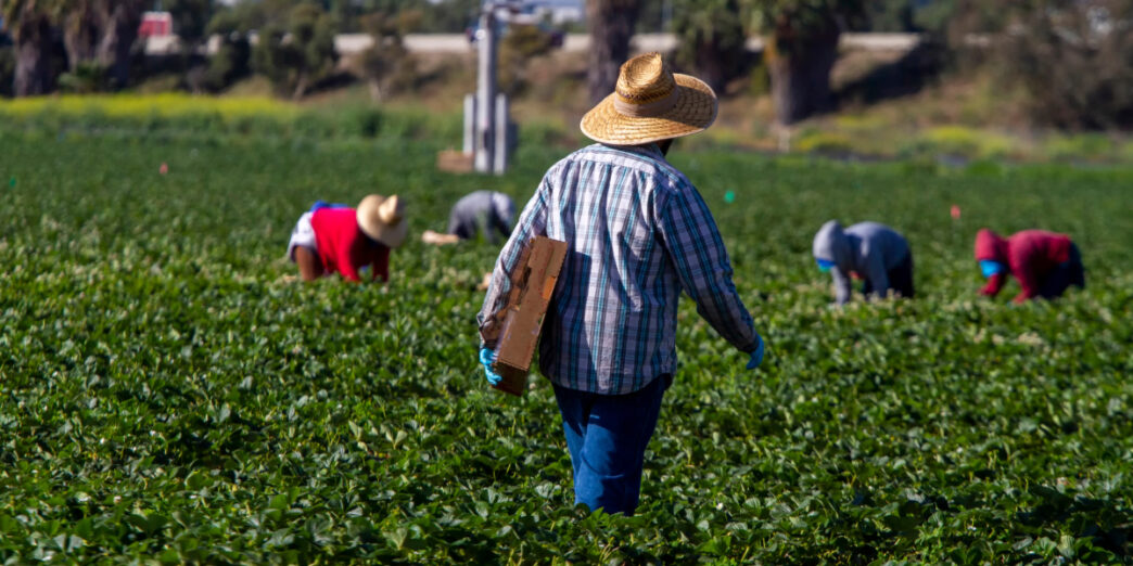 Trabajadores de campo