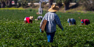 Trabajadores de campo