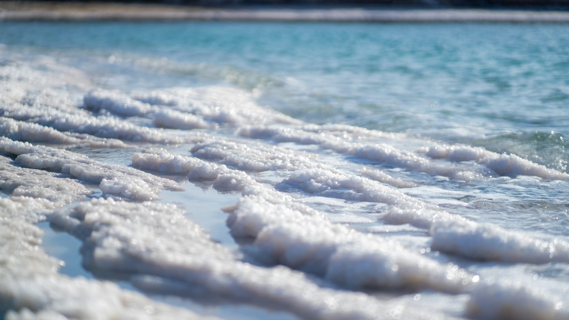 línea de la costa del mar Muerto