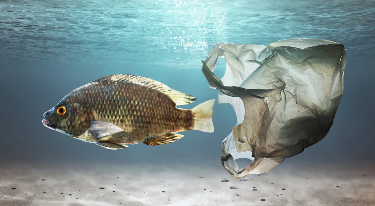 Bolsa de plástico en el mar