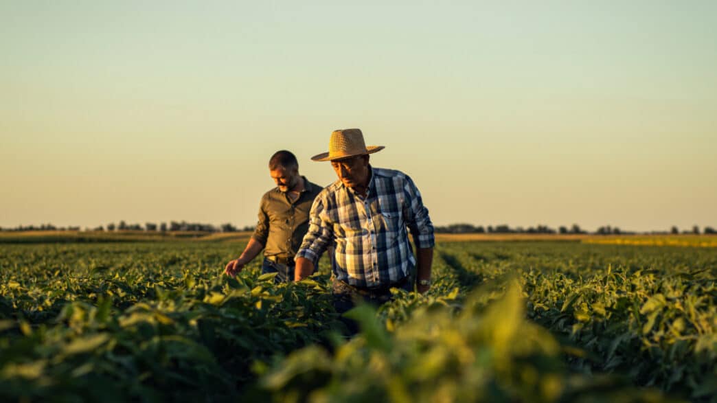 Trabajadores sector agroalimentario