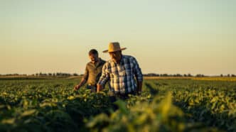 Trabajadores sector agroalimentario