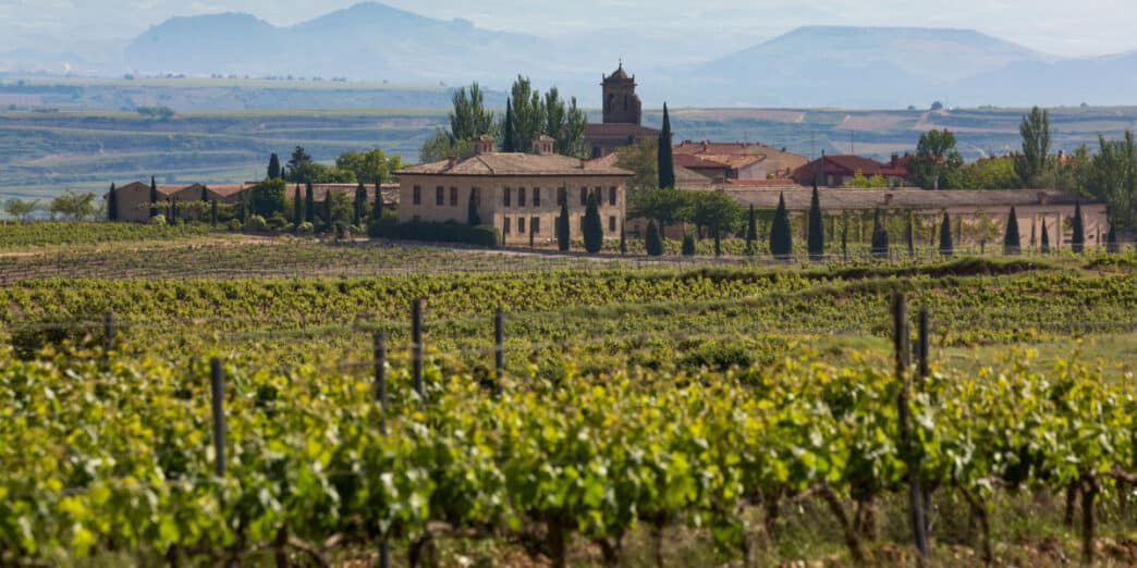 Viñedo en La Rioja, España, Europa
