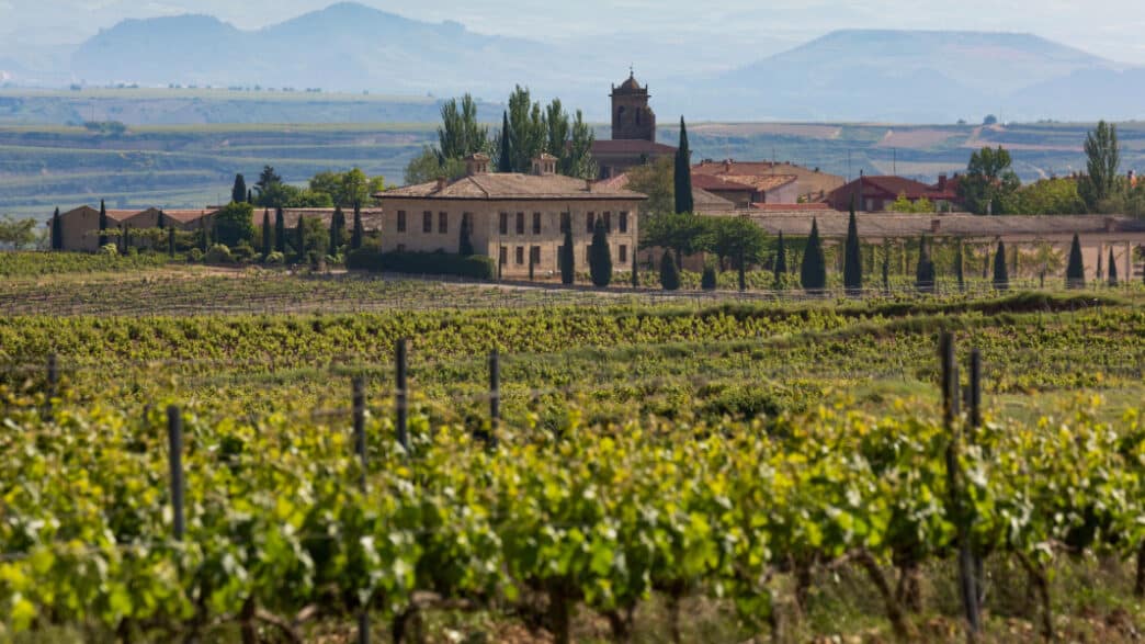 Viñedo en La Rioja, España, Europa