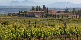 Viñedo en La Rioja, España, Europa