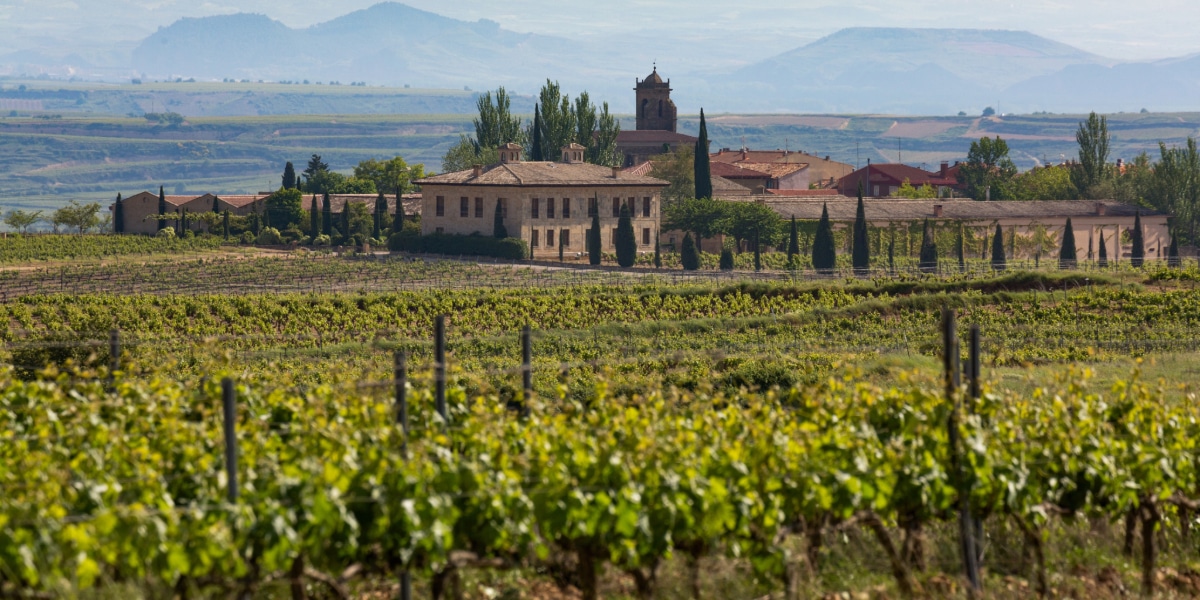 Viñedo en La Rioja, España, Europa