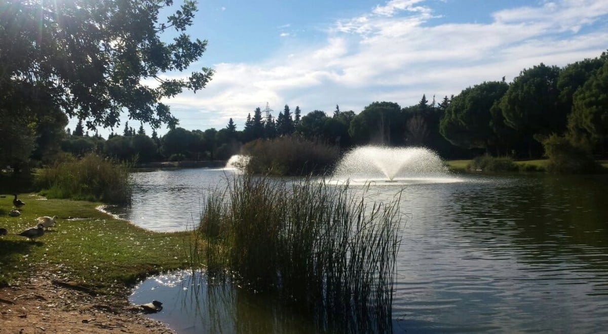 Parque Infanta Elena :: Shutterstock
