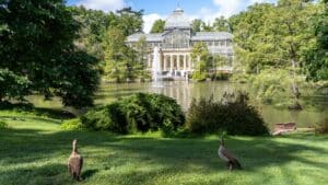 Parque de El Retiro, Madrid :: Shutterstock