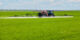 Plantación