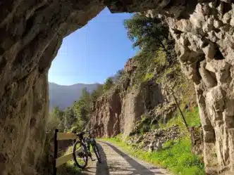 Senda del Oso