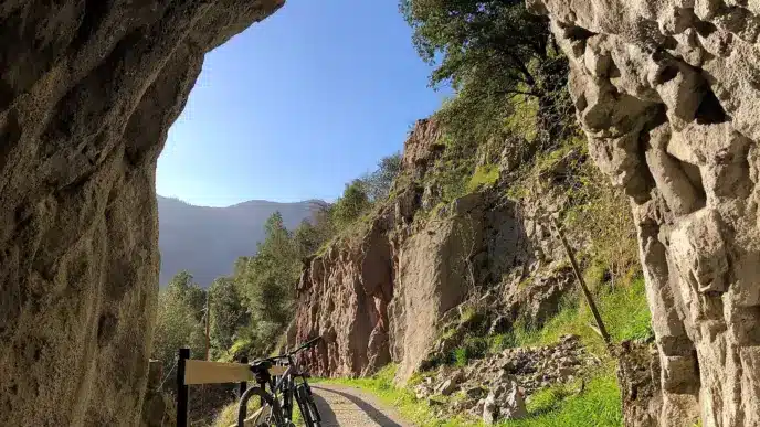 Senda del Oso