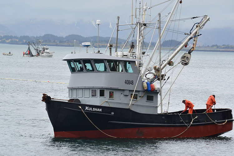 Barco pesquero