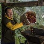 Producción café