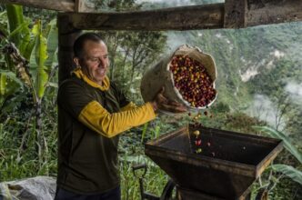 Producción café