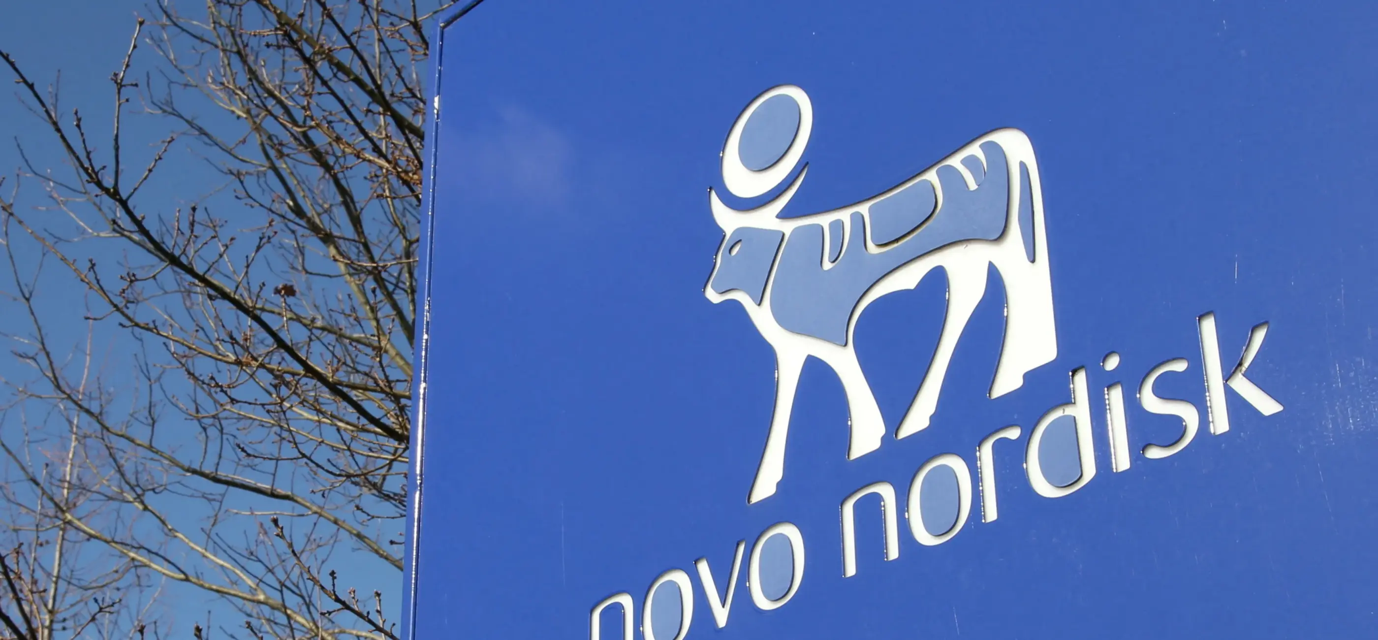 Novo Nordisk