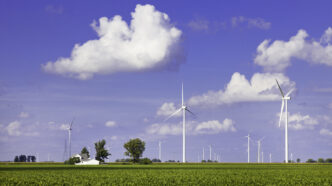 Parque eólico en EE.UU.