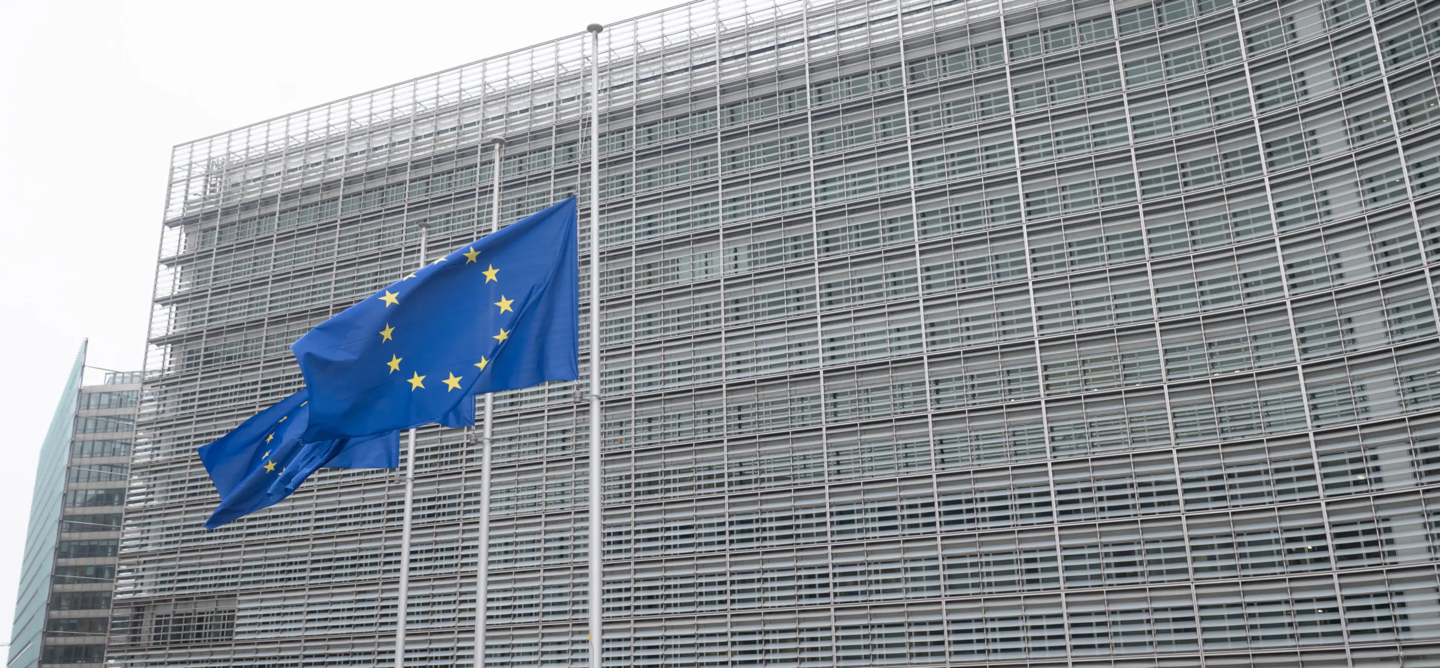 Comisión Europea