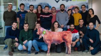 Equipo de Digitanimal