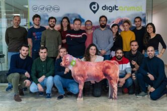 Equipo de Digitanimal