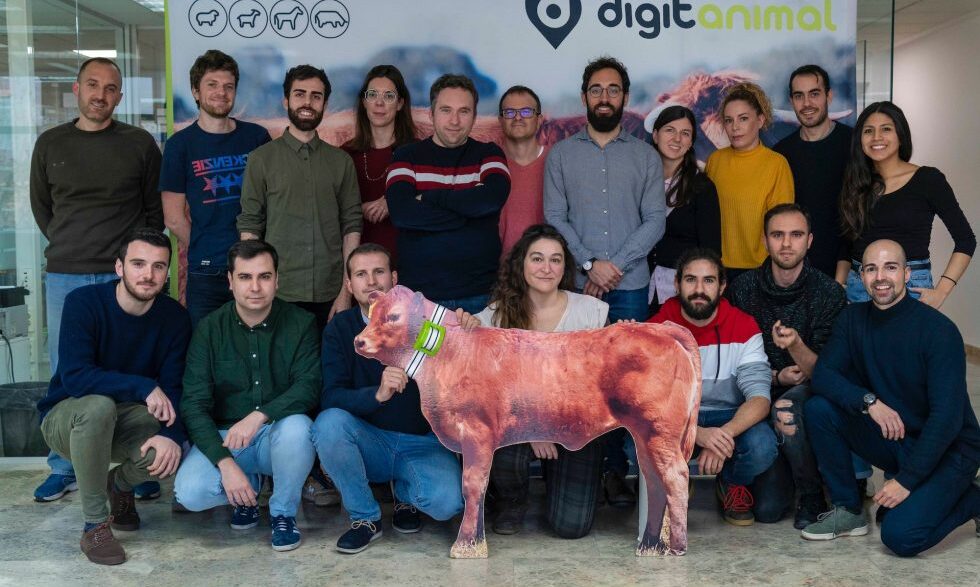 Equipo de Digitanimal