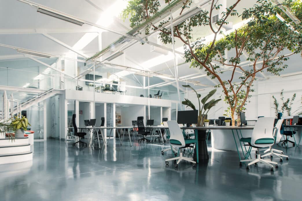 Interior de la oficina Ficus