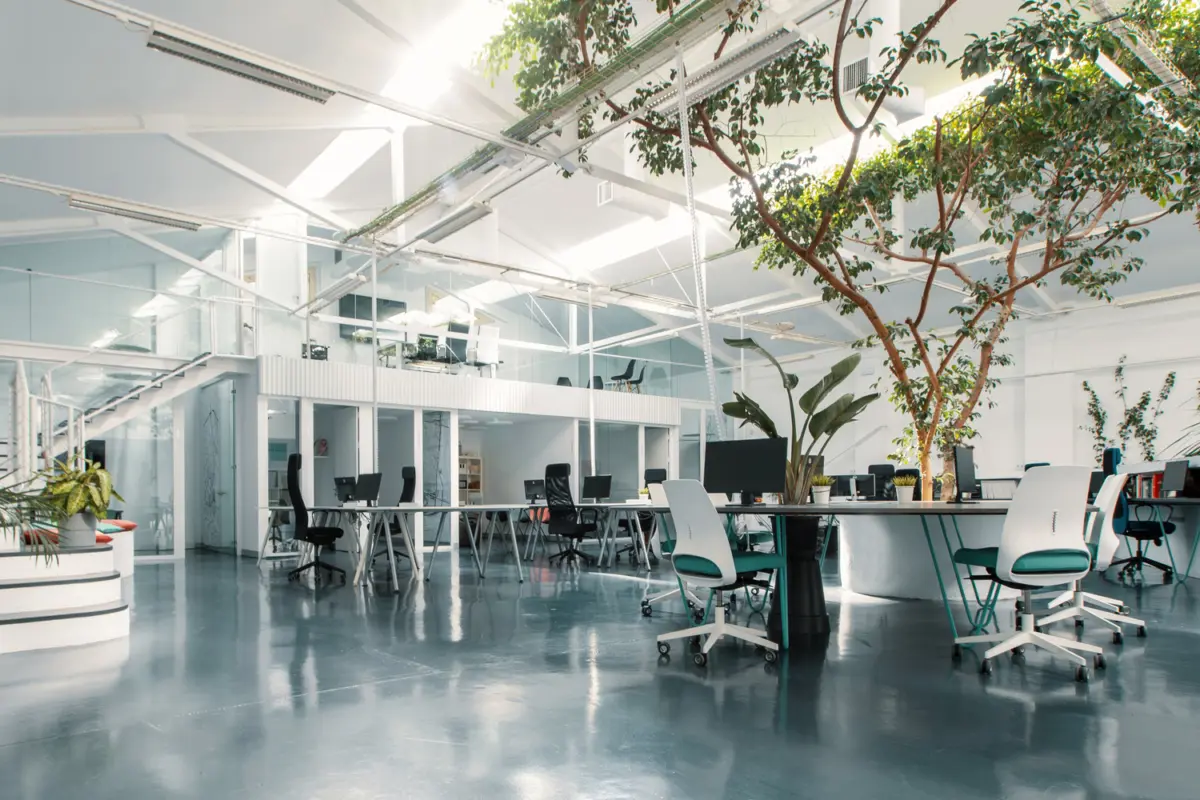 Interior de la oficina Ficus