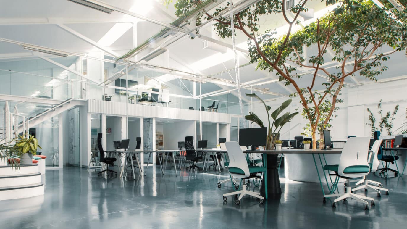 Interior de la oficina Ficus