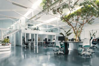 Interior de la oficina Ficus