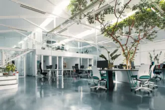 Interior de la oficina Ficus