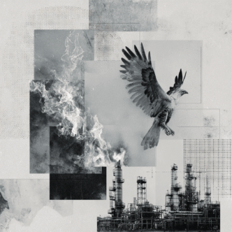 Ave Fénix surgiendo de las cenizas