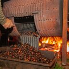 Fiesta del Magosto :: The Officer