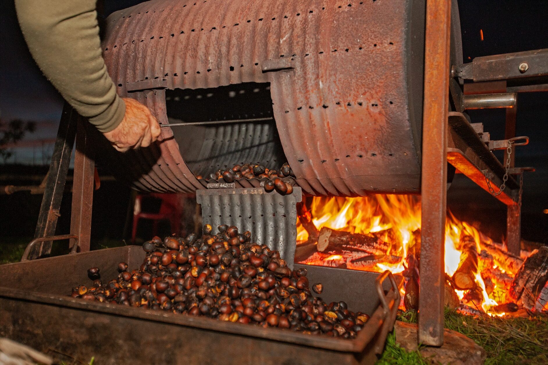 Fiesta del Magosto :: The Officer