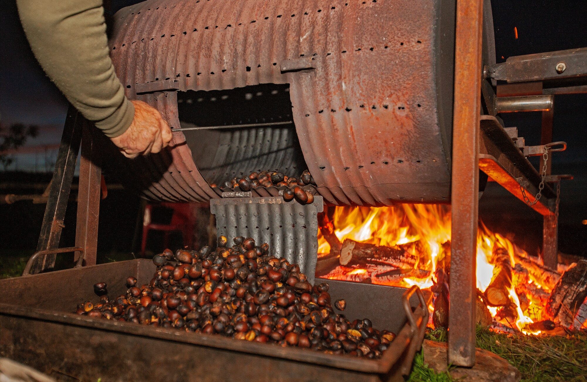 Fiesta del Magosto :: The Officer