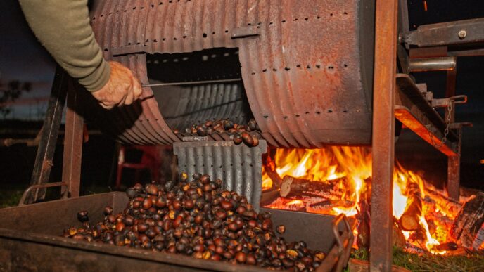 Fiesta del Magosto :: The Officer