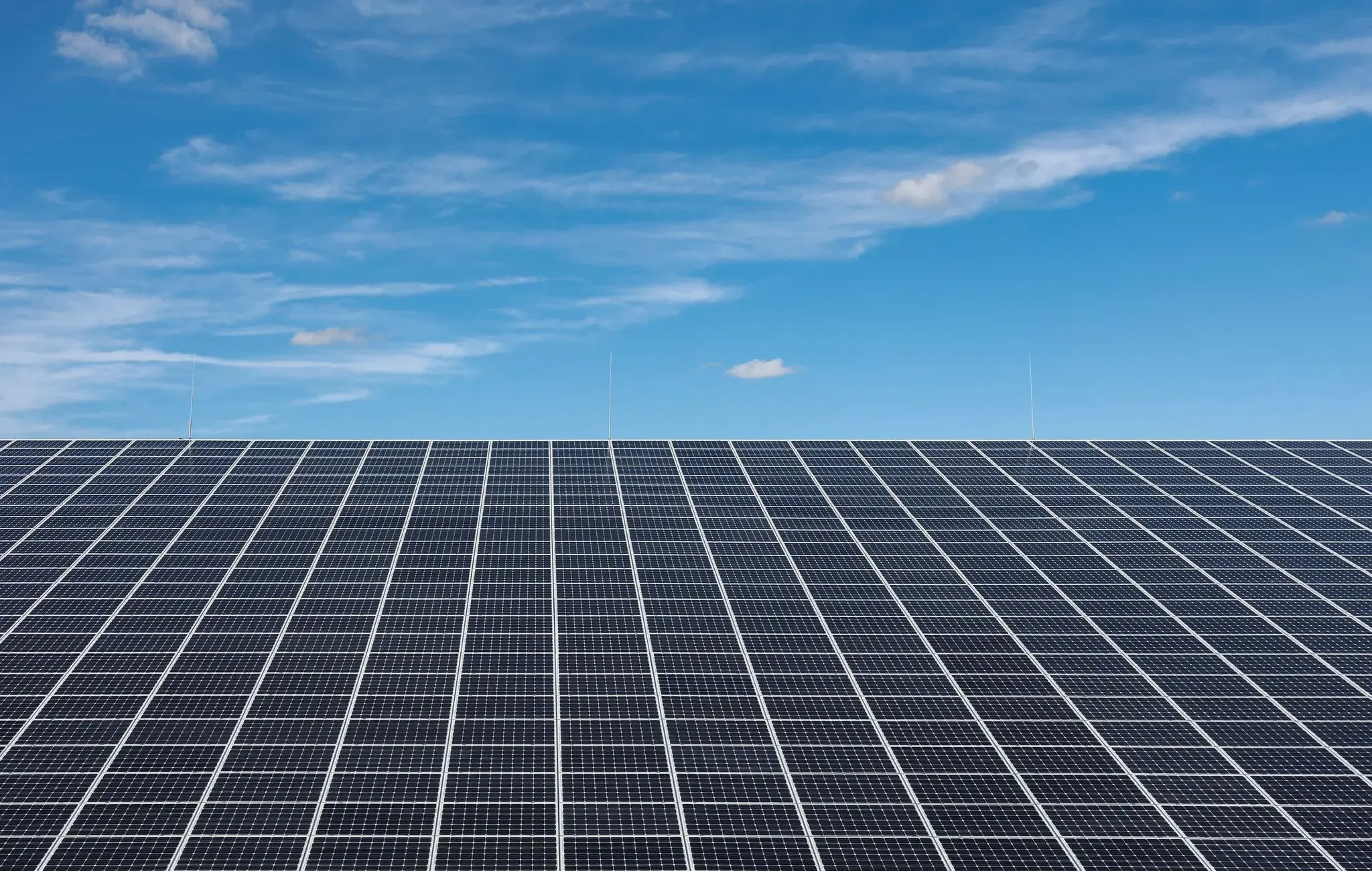 Paneles rolares orgánicos