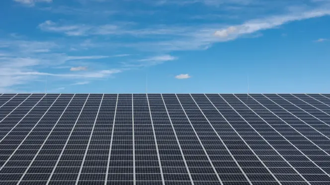 Paneles rolares orgánicos