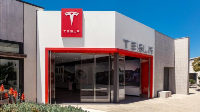 Tienda de Tesla