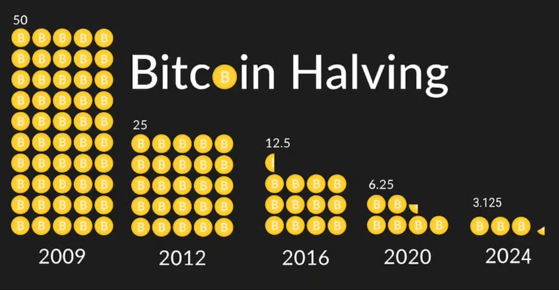 bitcoin halving