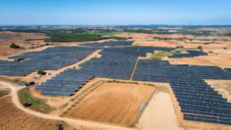 Paneles solares orgánicos