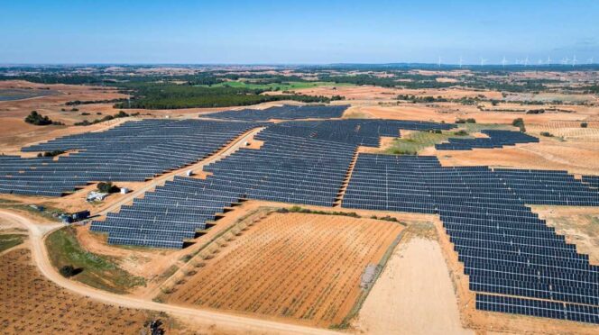 Paneles solares orgánicos