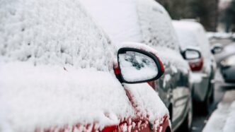 Coches nevados