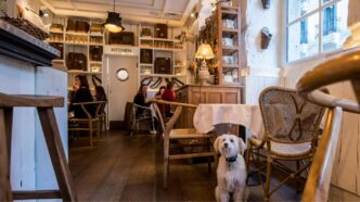 Mascota en El Perro y y La Galleta